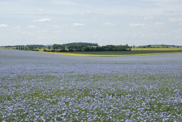 Paysage.