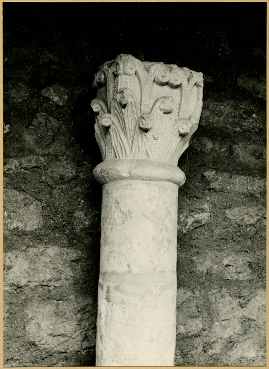 Colonne