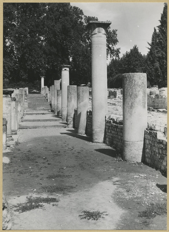 Rue des boutiques : colonnes