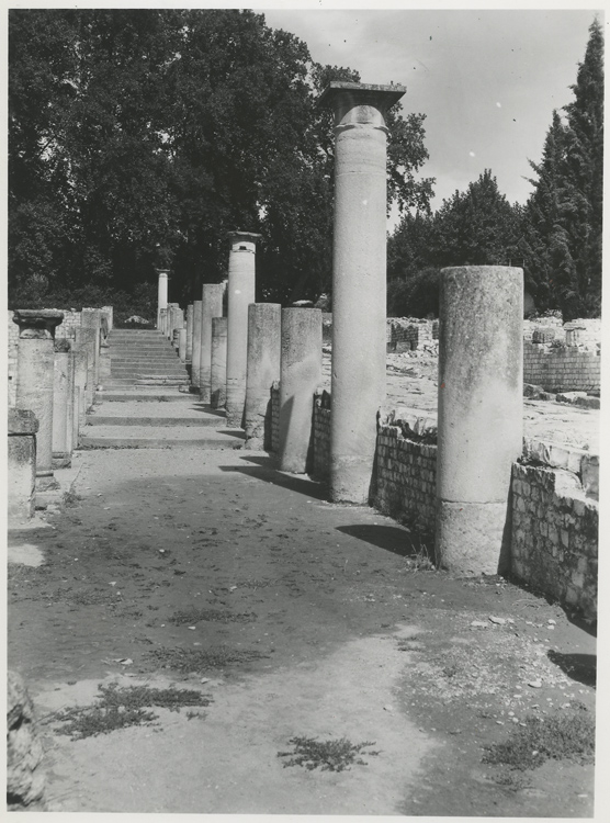 Rue des boutiques : colonnes