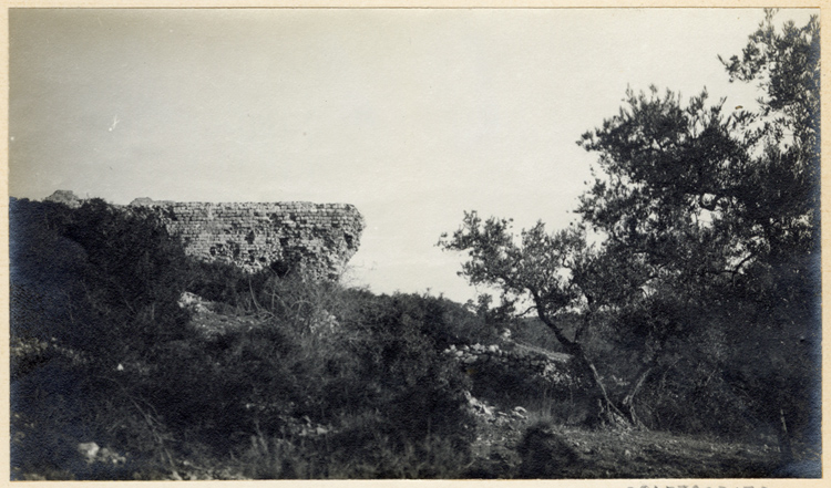 Vue de l’aqueduc entouré de végétation