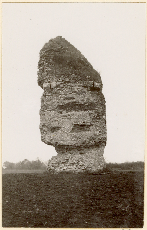 Face sud