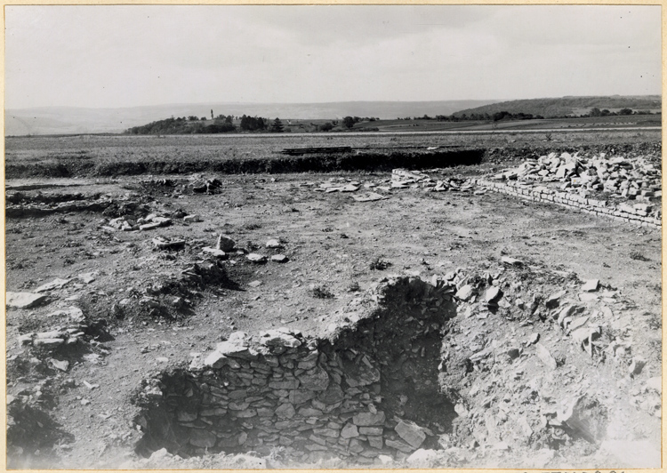 Espace libre au sud de l’habitation, vu de l’est en 1950