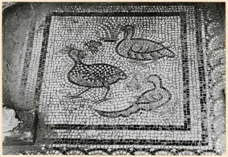 Mosaïque du Bellérophon