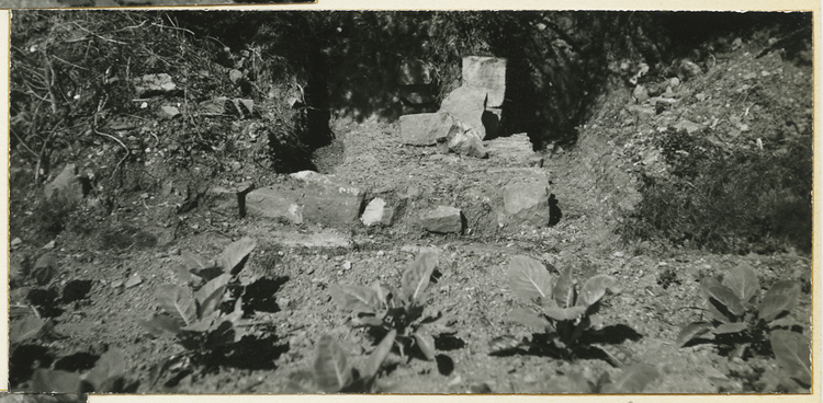 Vestiges découverts lors des fouilles