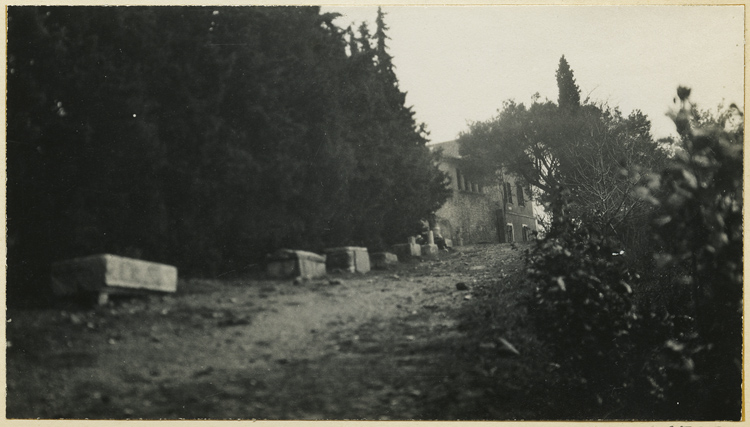 Allée d’accès au musée, bordée de sarcophages