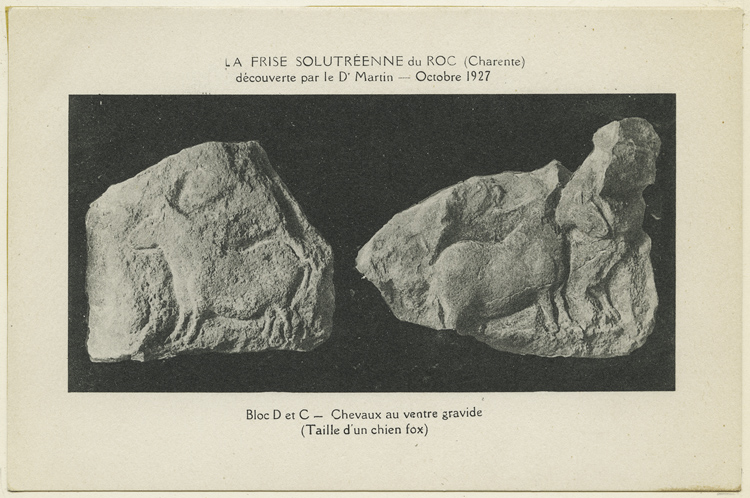 Reproduction : blocs D et C de la frise solutréenne : chevaux au ventre gravide