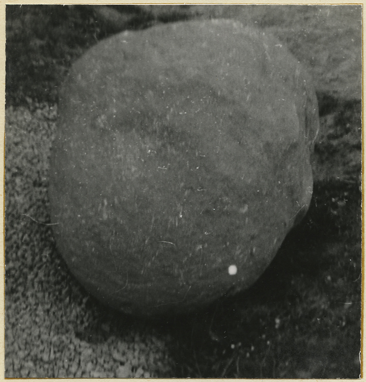 Pierre cultuelle gauloise