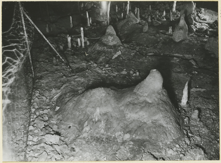 Ossuaire des ours : buttes