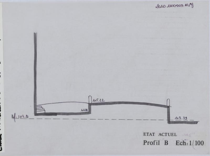 Etat actuel ; profil de la rue Trivalle.