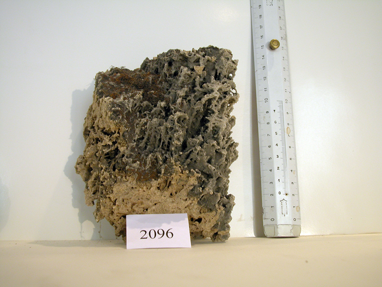 Pierre de calcaire, fragment