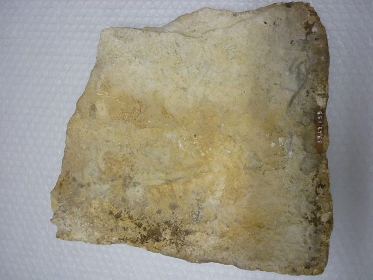 Dalle de calcaire ancienne dite lave ou platin, traces de lichen et mortier, verso