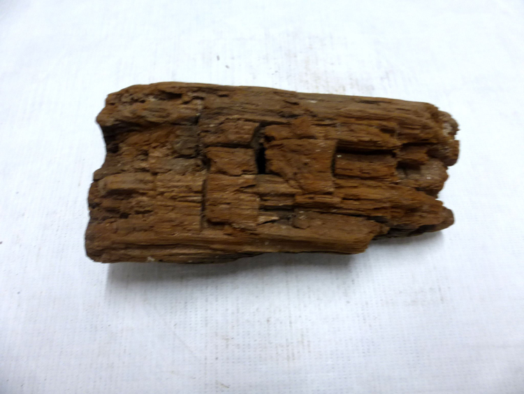 Fragment de lambris