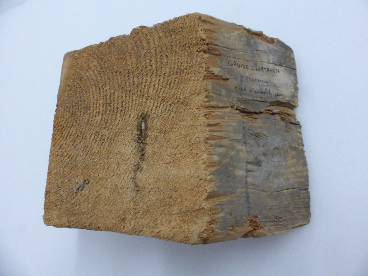 Pièce de charpente : pied d’arbalétrier