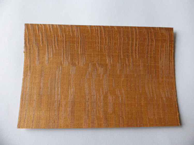 Échantillon de bois : platane