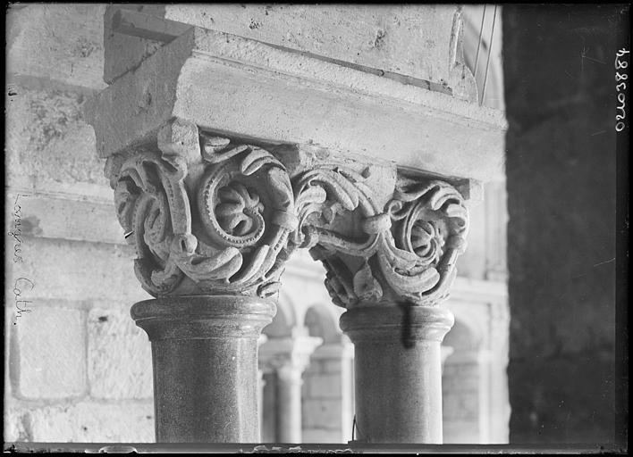 Intérieur : chapiteaux du triforium, feuillages