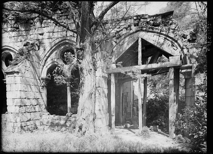 Cloître en ruines : arcature