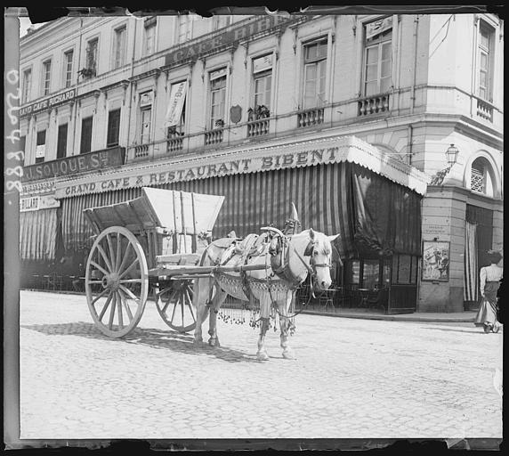 Calèche et cheval devant la terrasse d'un restaurant