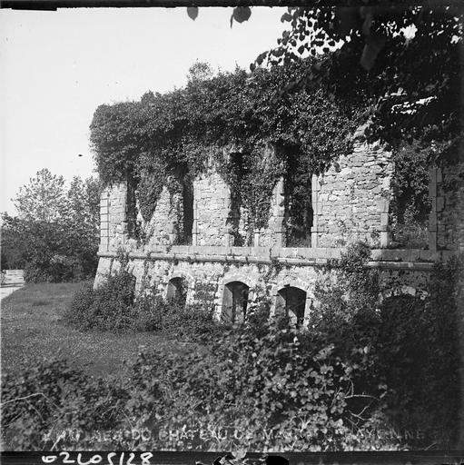 Ruines : pan de mur