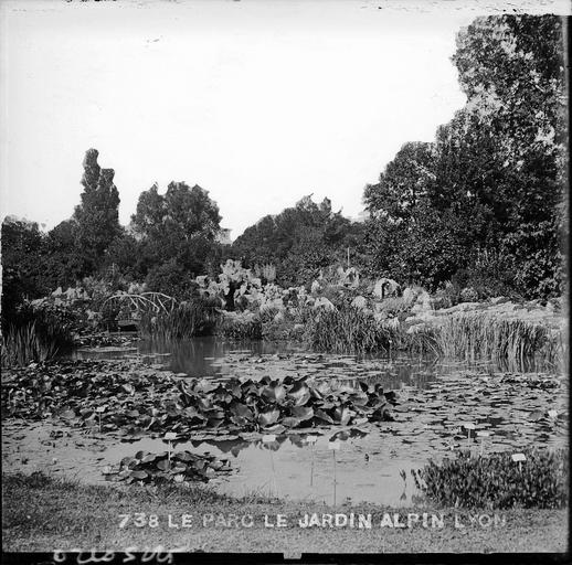 Le jardin alpin