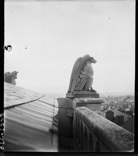 Gargouille, un aigle