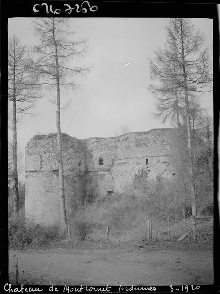 Mur d'enceinte en ruines