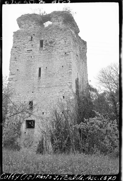 Ruines du donjon