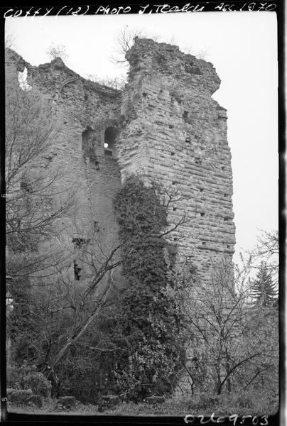 Ruines du donjon