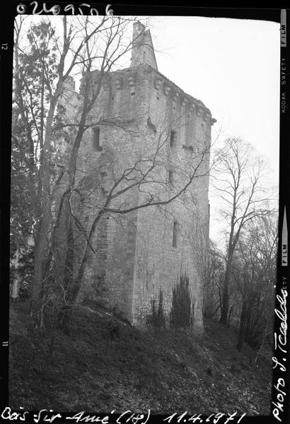 Ruines du donjon