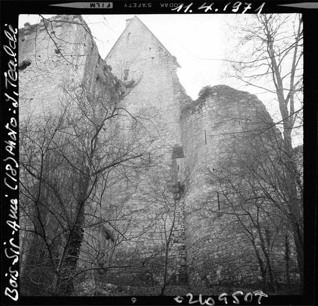 Ruines du logis