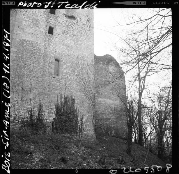 Ruines du logis