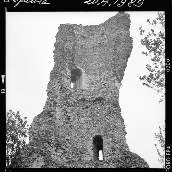 Restes d'un donjon