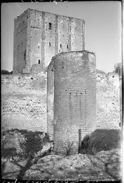 Donjon et tour du vieux château