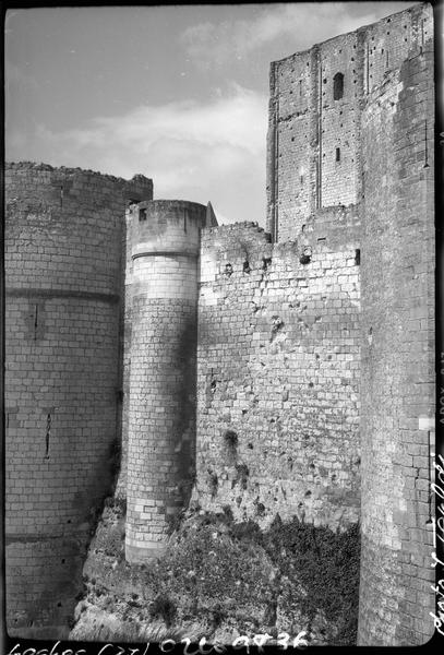 Donjon et mur d'enceinte du vieux château