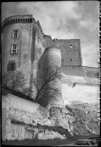 Tour Neuve et donjon du vieux château