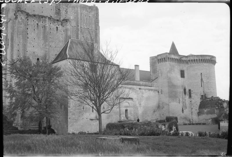 Vieux château : mur d'enceinte, tour neuve et donjon