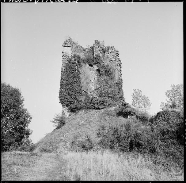 Donjon en ruines