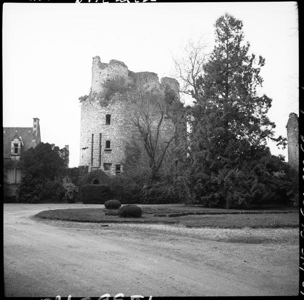 Donjon en ruines