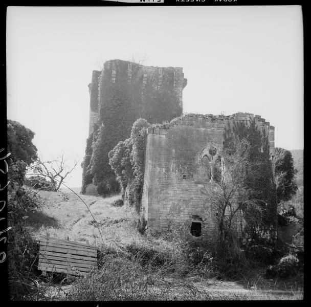 Tour et enceinte en ruines