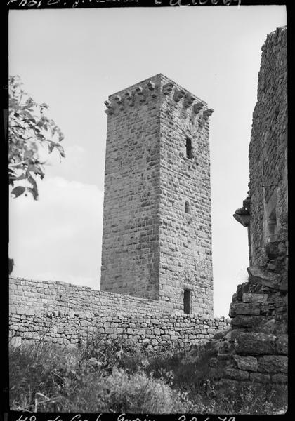 Donjon