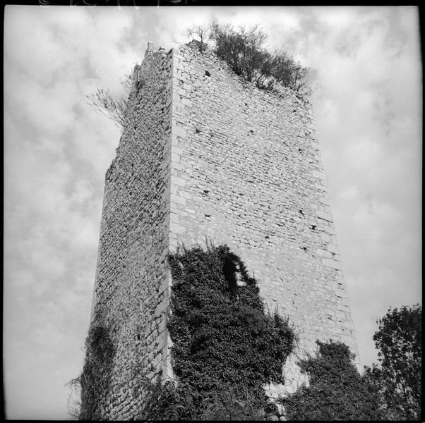 Tours de Chignin : une carrée en ruines