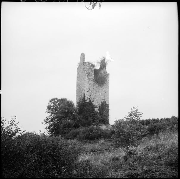 Tours de Chignin : une carrée en ruines