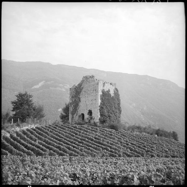 Tours de Chignin : une carrée en ruines