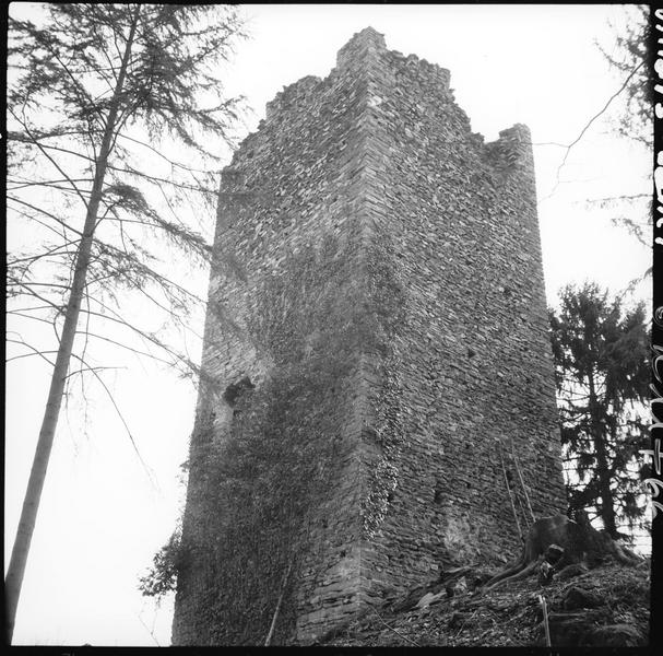 Donjon en ruines