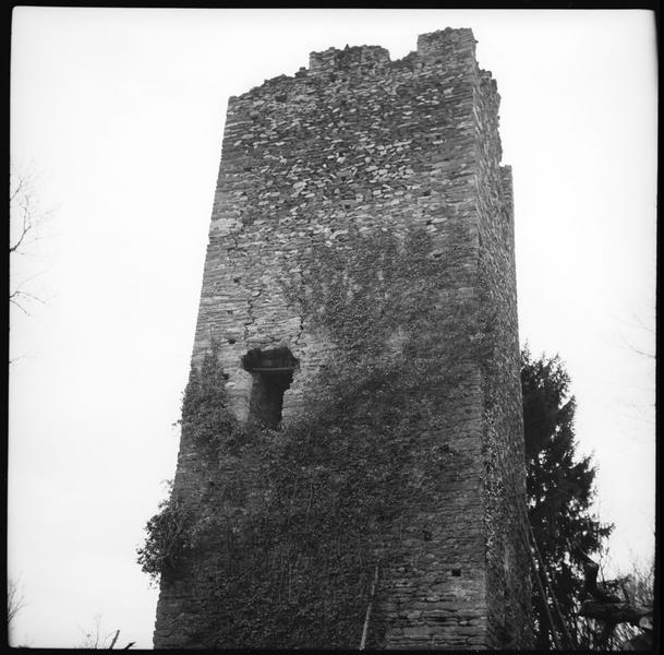 Donjon en ruines