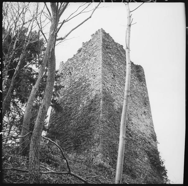 Donjon en ruines