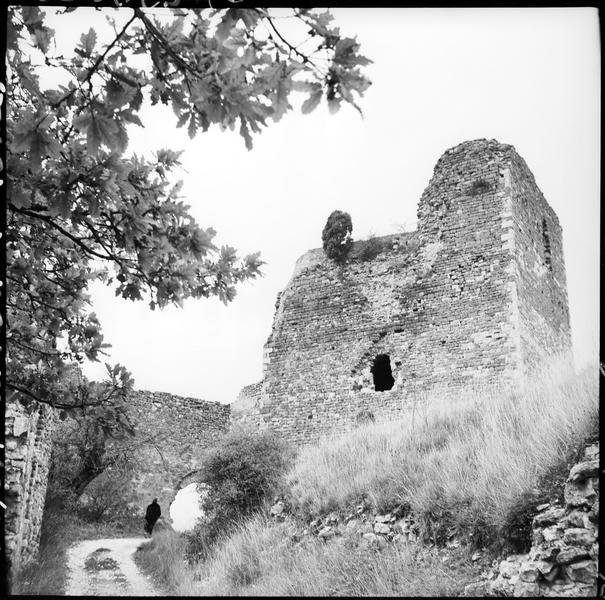 Donjon en ruines