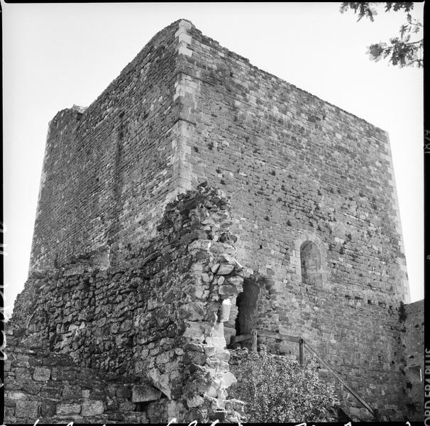 Donjon en ruines