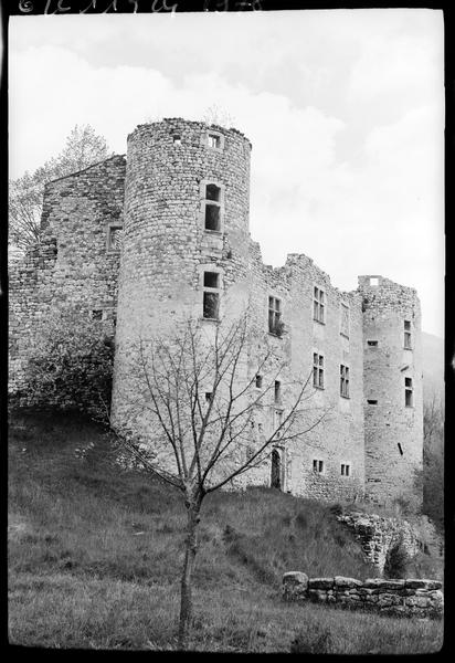 Tour et corps de logis en ruines