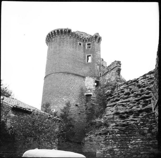 Donjon et enceinte en ruines